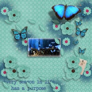 Blue Butterflies