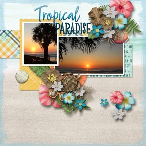 Passport Tropical Paradise and Duality 2