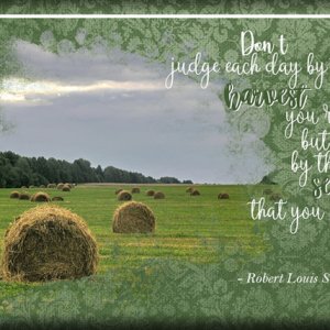 ATC 2018-087 Don't Judge