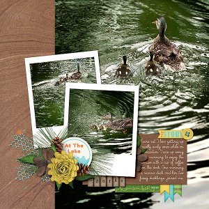 The Ducks