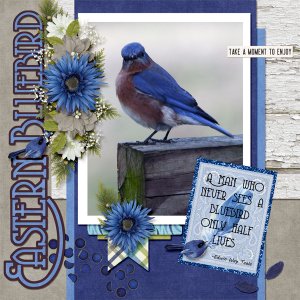 Bluebird
