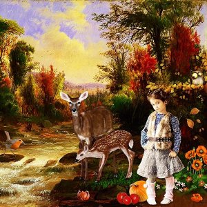Le monde de Stefan le Faon