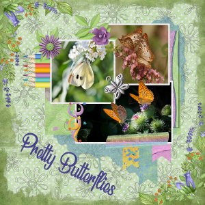 Pretty Butterflies