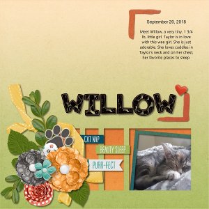 Willow