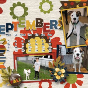 September Desk top