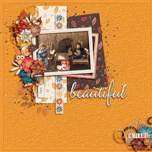 Beautiful Fall