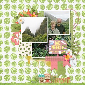 IAO Needle Sept template 2