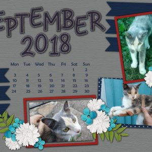 2018 September Desktop