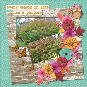 Seasons