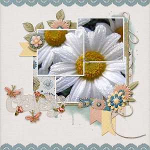 Daisy