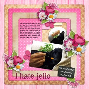 I hate jello