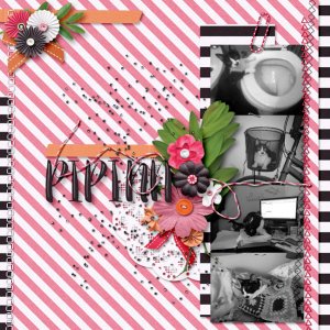 Pipina