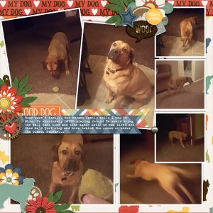 2018-08-26 Ohio3 FETCH FamilyMemories1