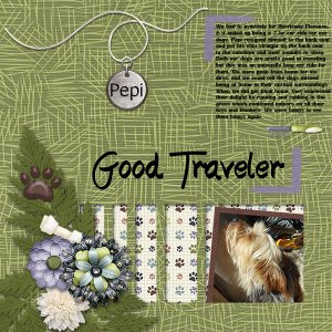 Good Traveler