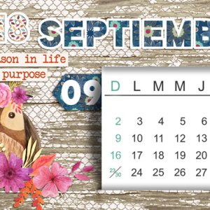 2018-09-Connie-Prince-_2018