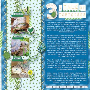 A Tale of Three Tortoises