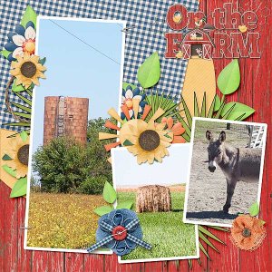 On The Farm