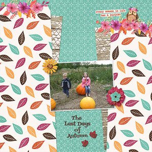 The Last Days of Autumn