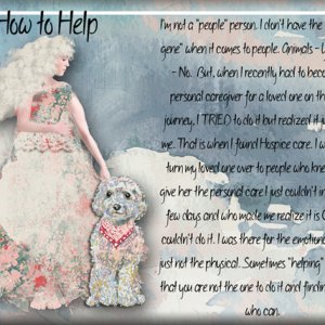 How to Help