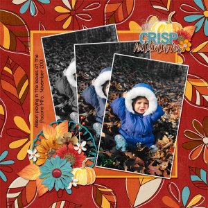 2001_november_Allison_leaves_web_cap_oct2018