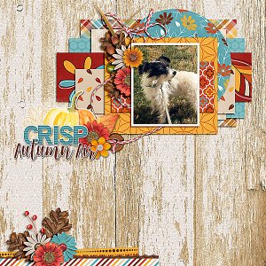 Crisp Autumn Air