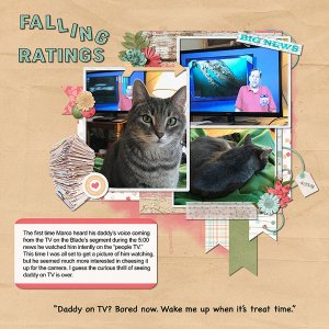 Falling Ratings