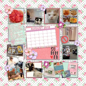 08 August 2018