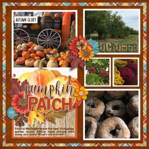 Pumpkin Patch