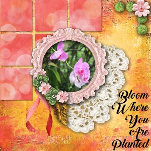 Bloom Where you are planted.
