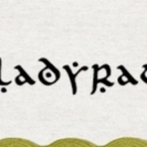 Sept Siggie