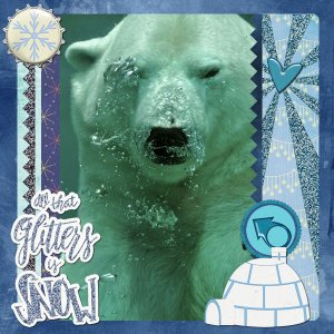 Polar snow