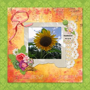 Sunflower