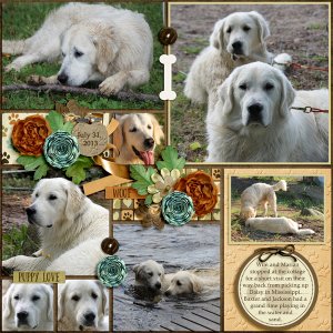 dt_POL6beautifall_kelly