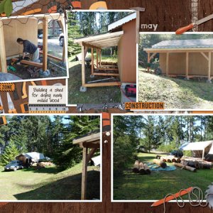 Shed Building