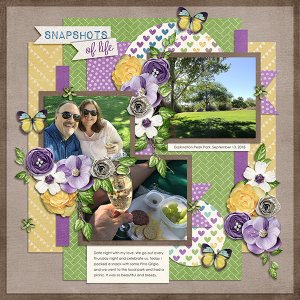 Snapshots