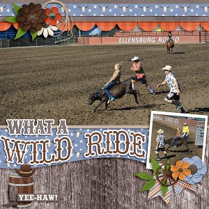 Wild Ride