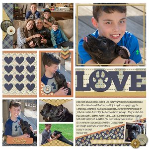 Furry Friends