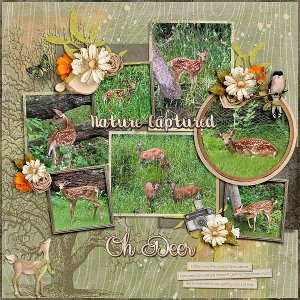 Little Fawn