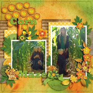 Corn Maze