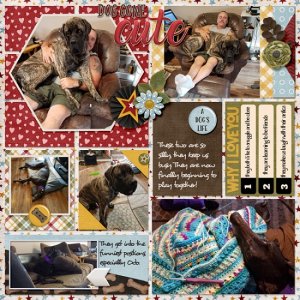 loving_our_furbabies