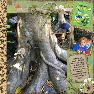 2017 CA Little Man of Disneyland