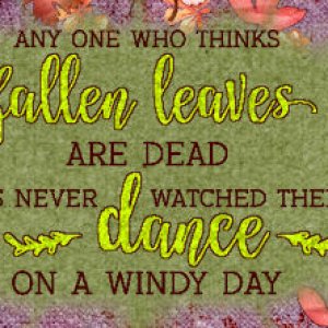 Fallen Leaves