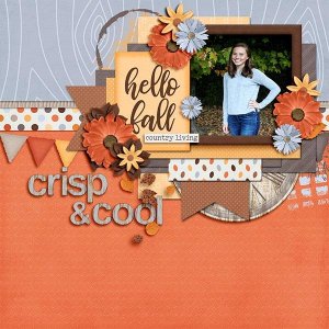 Rustic Life in Color