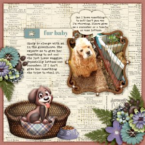Fur-baby2