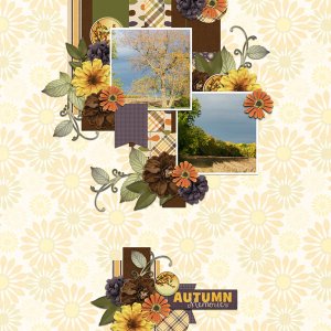 Autumn Memories
