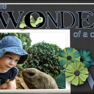 Wonder of a Child