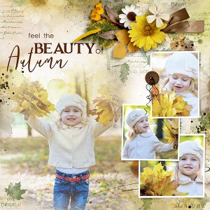 the beauty of Autumn