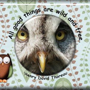 ATC 2018-095 All Good Things