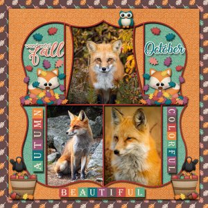 Beautiful Foxes