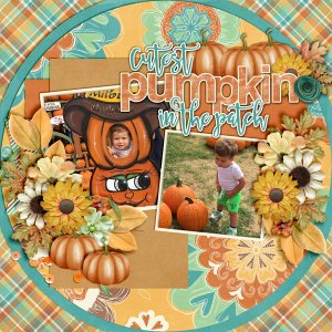 Cutest-Pumpkin-In-The-Patch1
